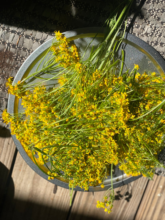 Foray into Foraging l