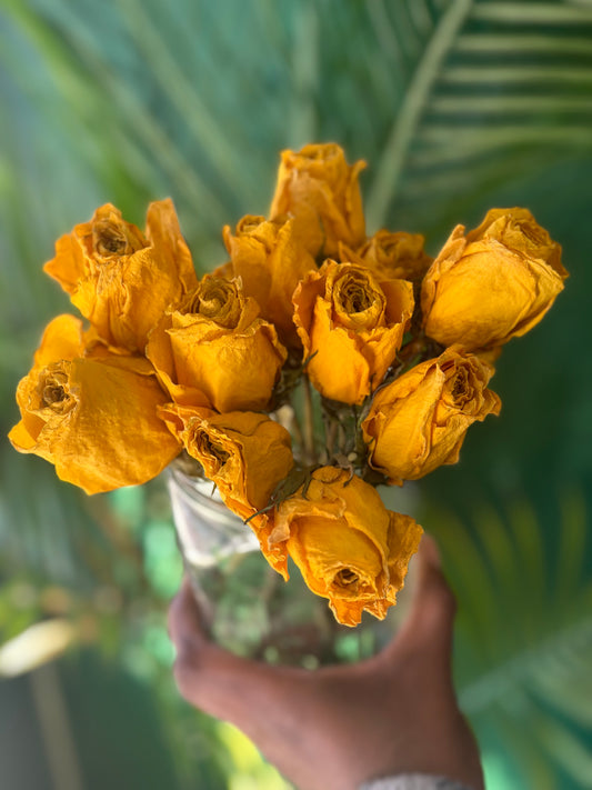 Dried  Roses