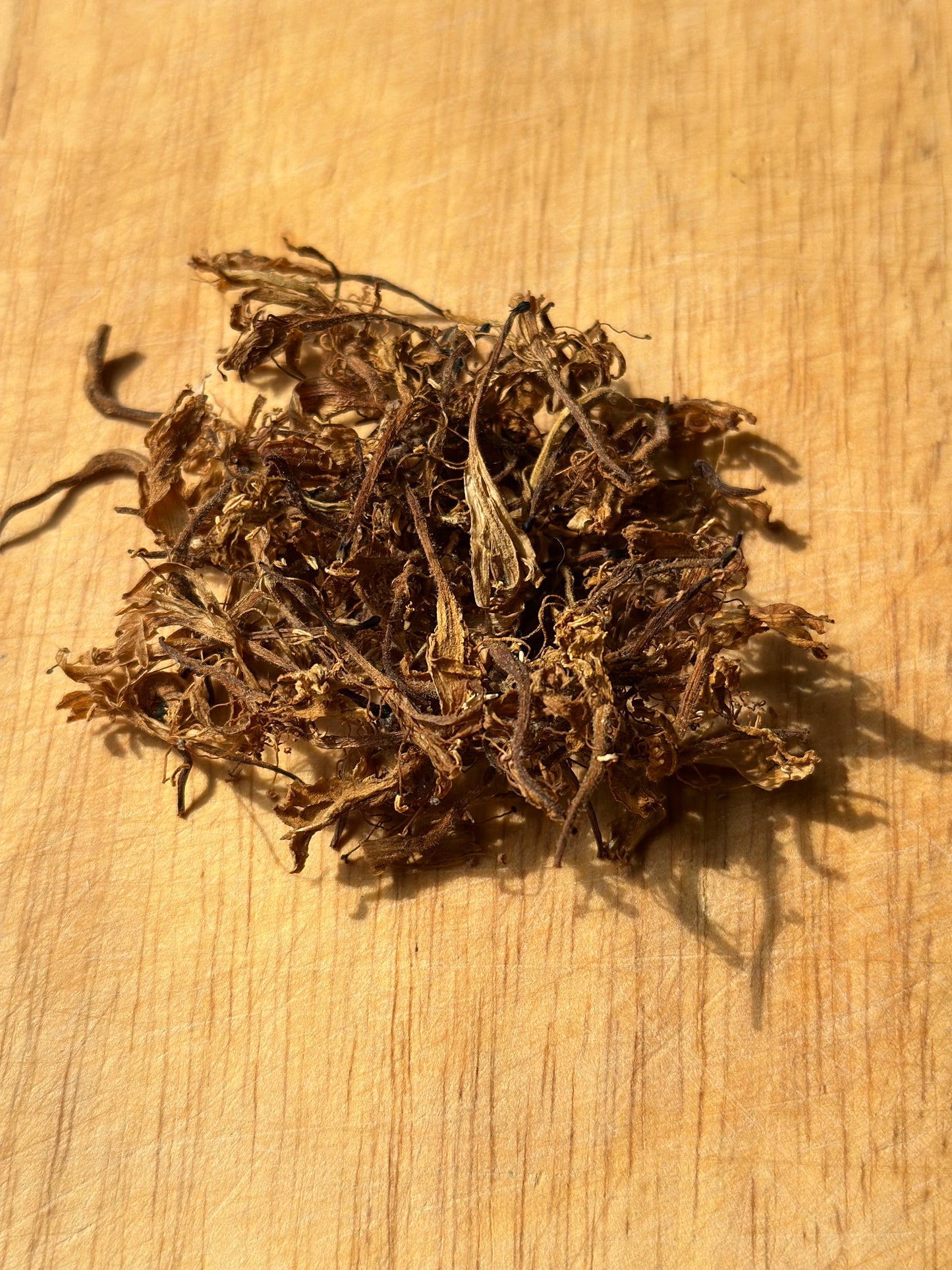 Honeysuckle