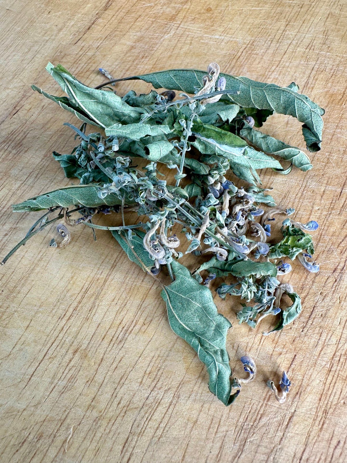 Skullcap
