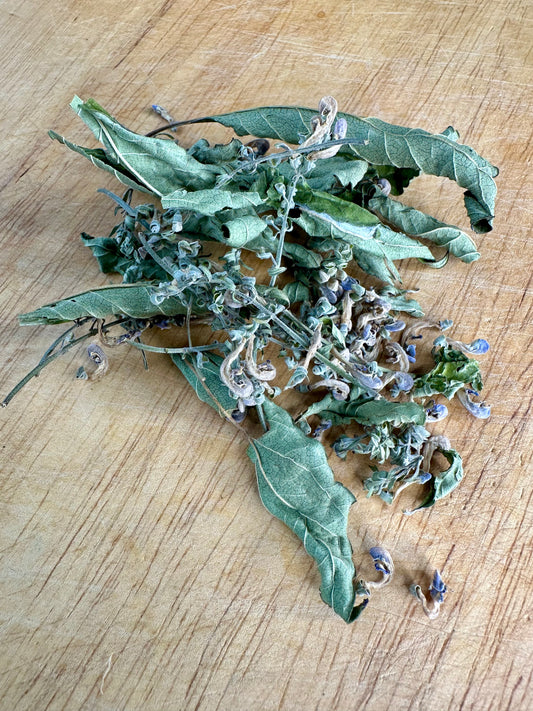Skullcap