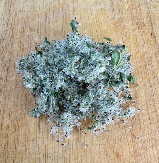 Boneset