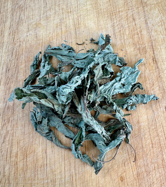 Pineapple Sage
