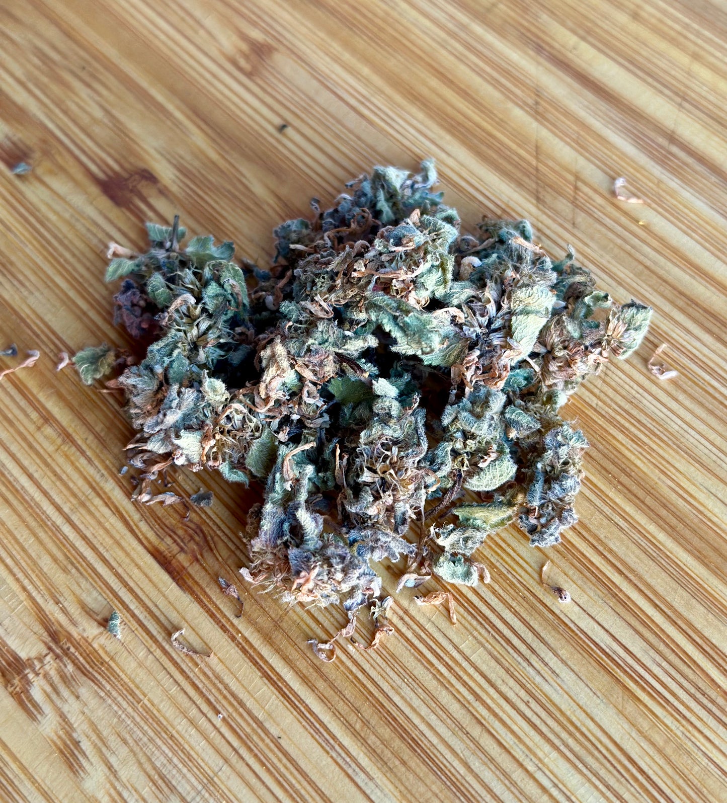 Dead Nettle Oil