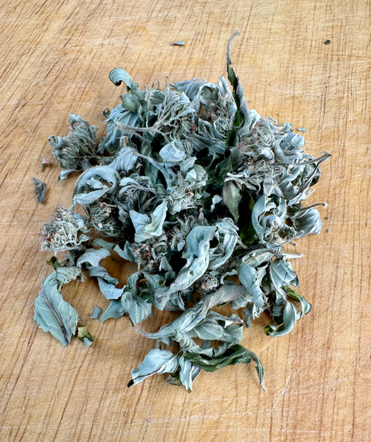 Mountain Mint