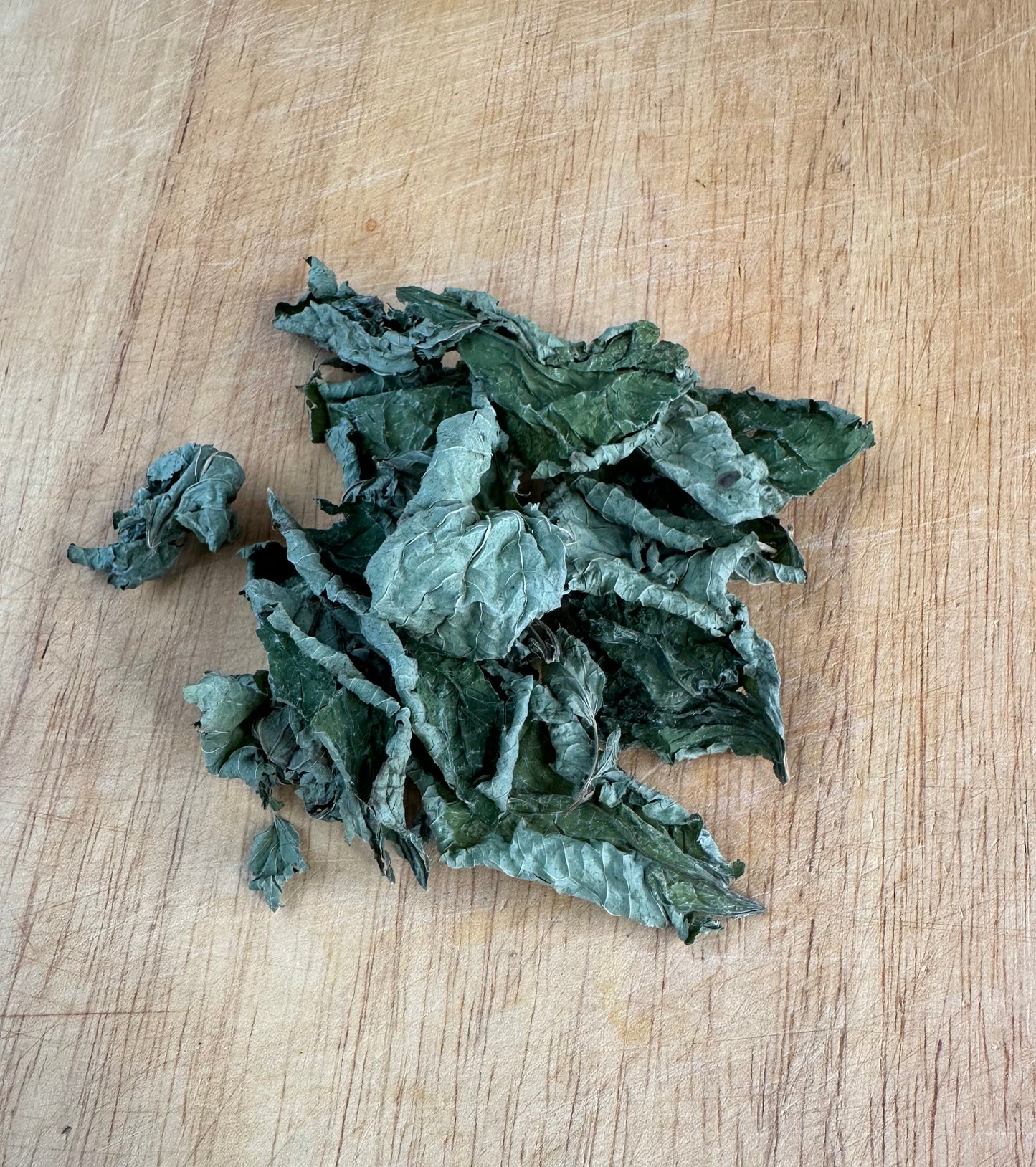 Catnip
