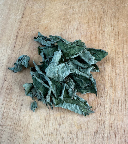 Catnip