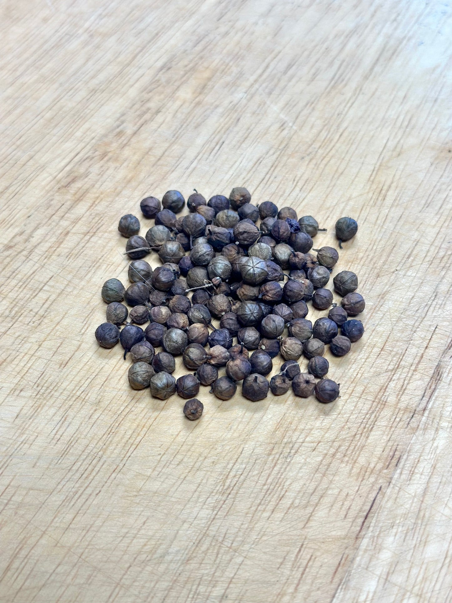 Crepe Myrtle Buds