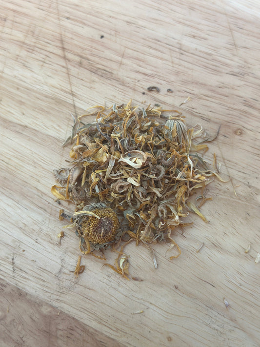 Calendula