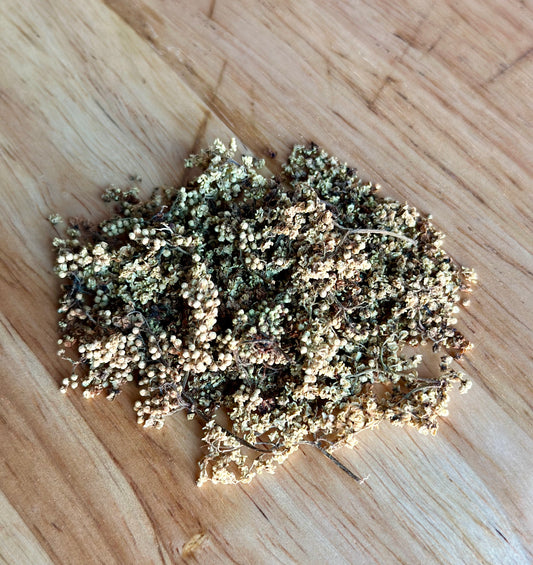 Elder Flower