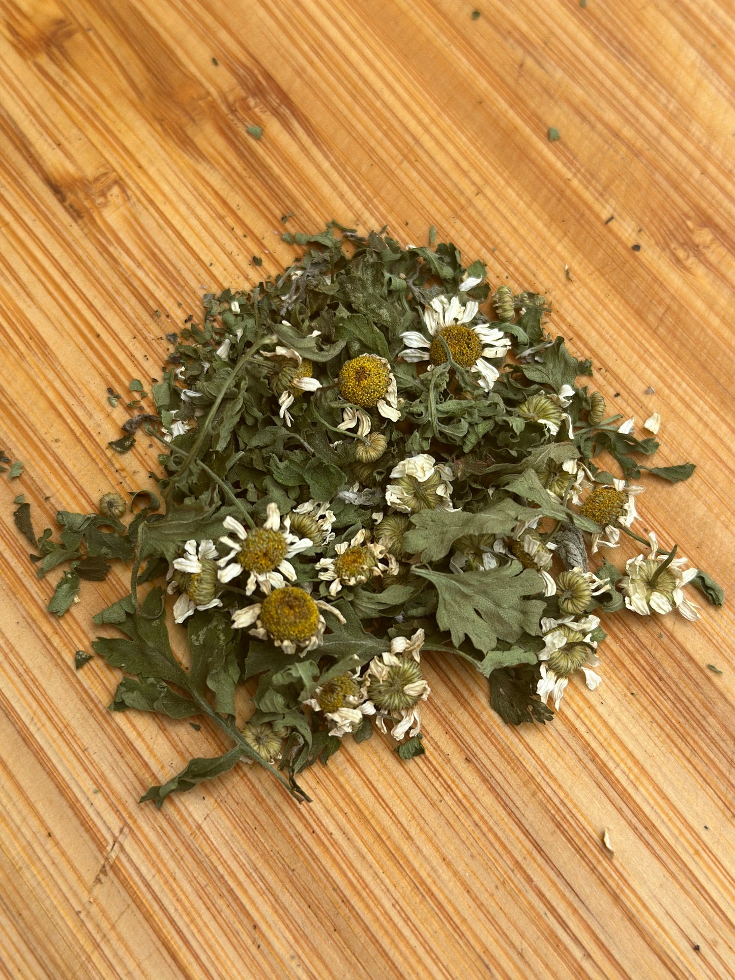 Feverfew