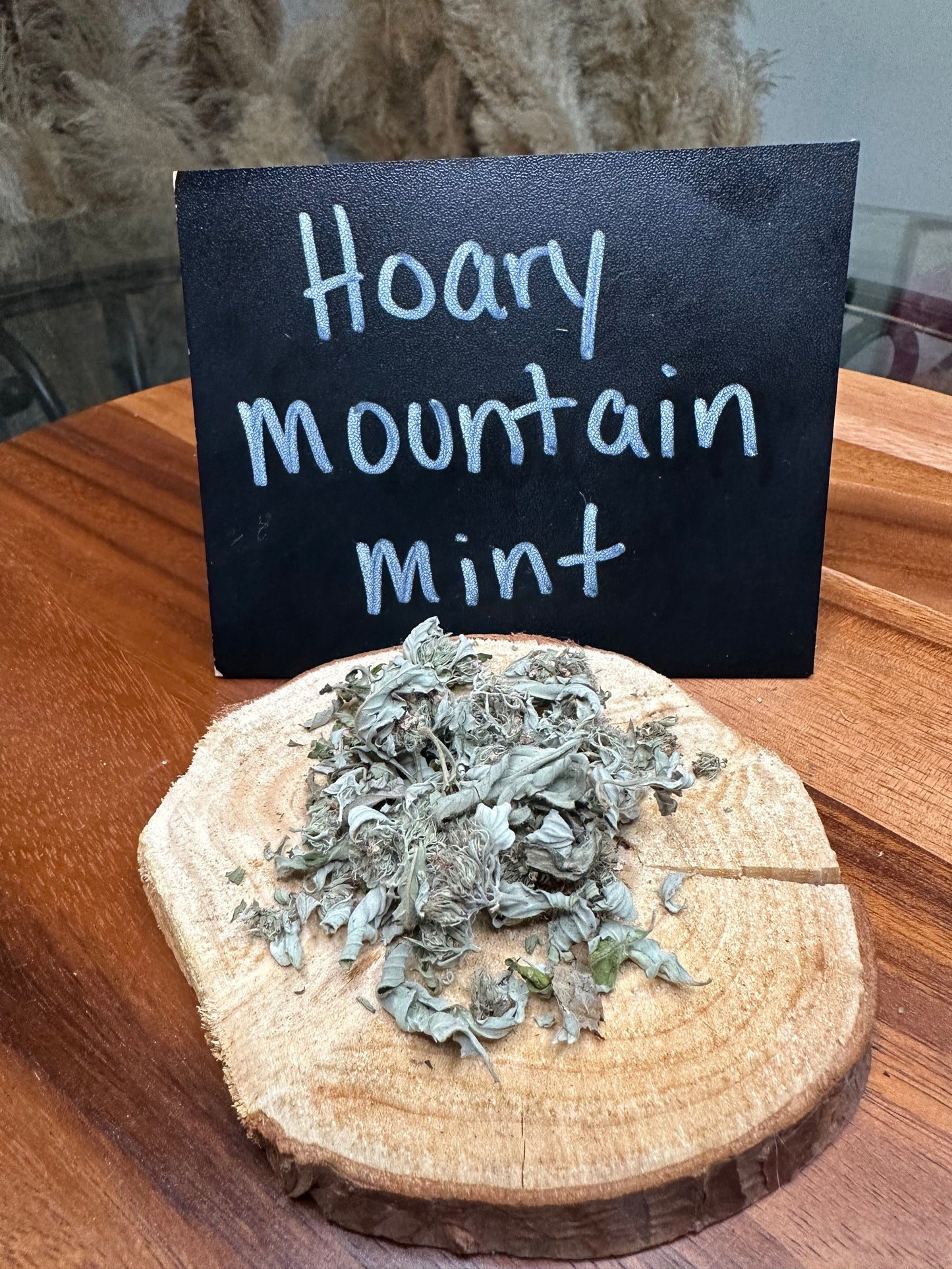 Hoary Mountain Mint