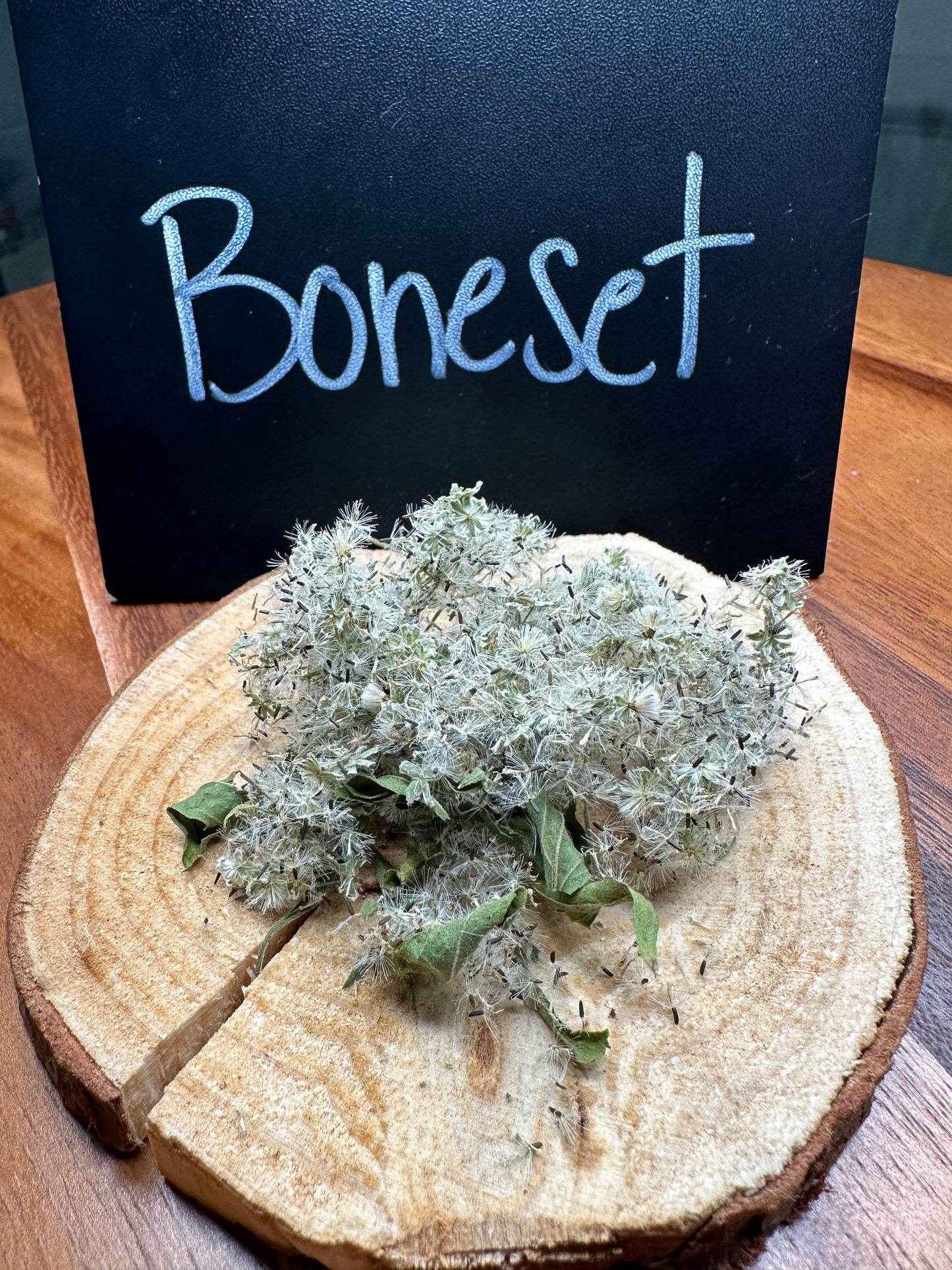 Boneset