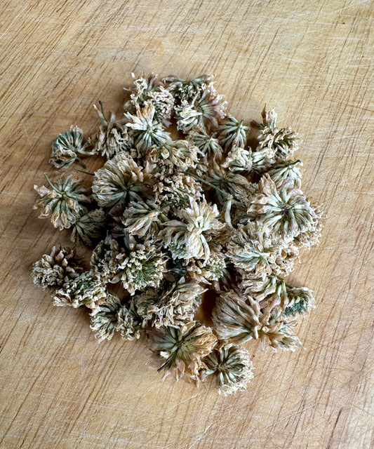 White Clover