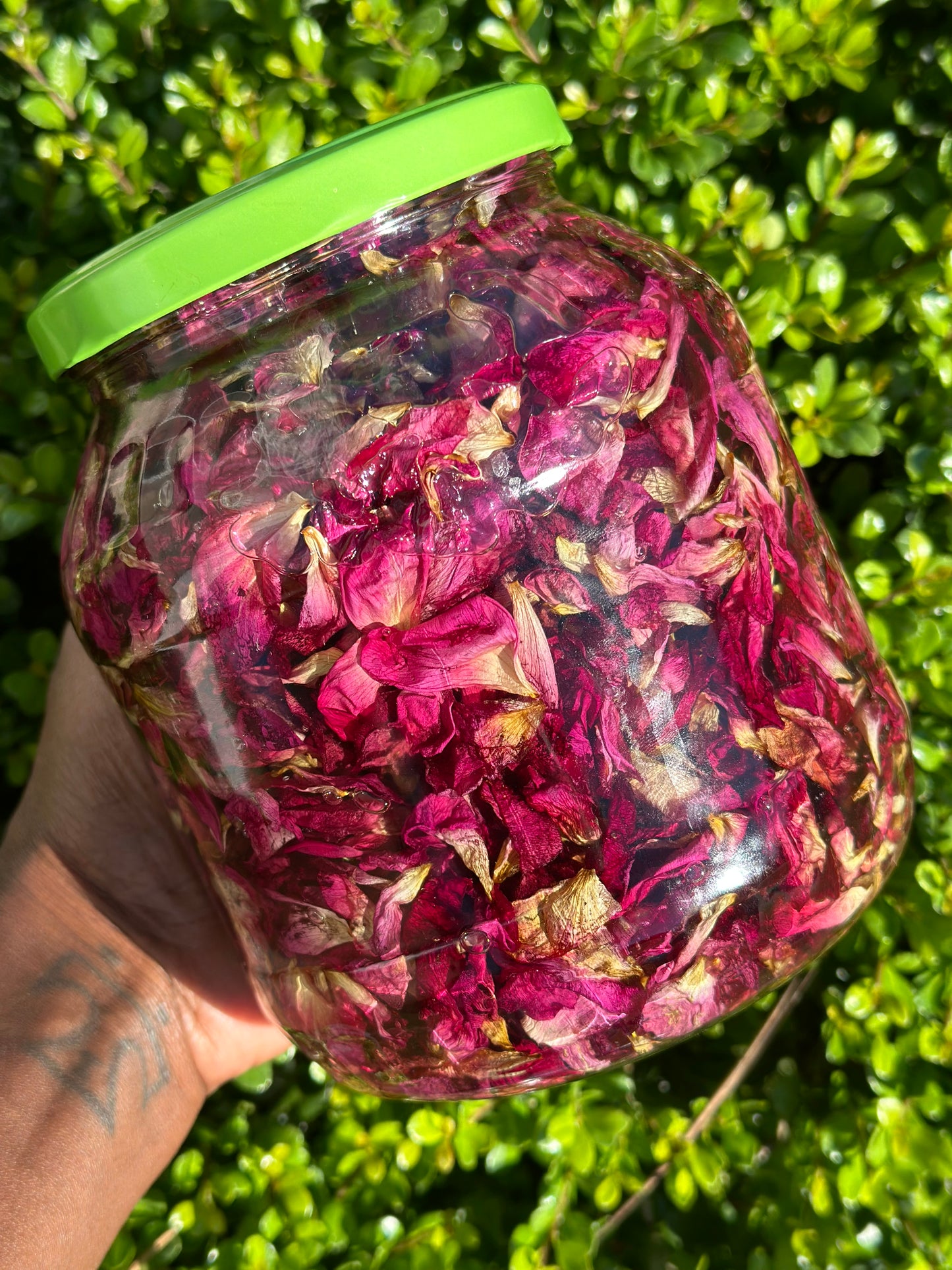 Rose Oil