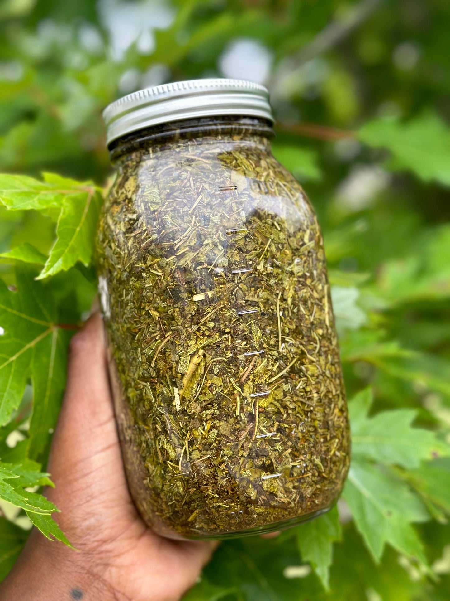 Sage Tincture - Sugar & Hormone Balancer