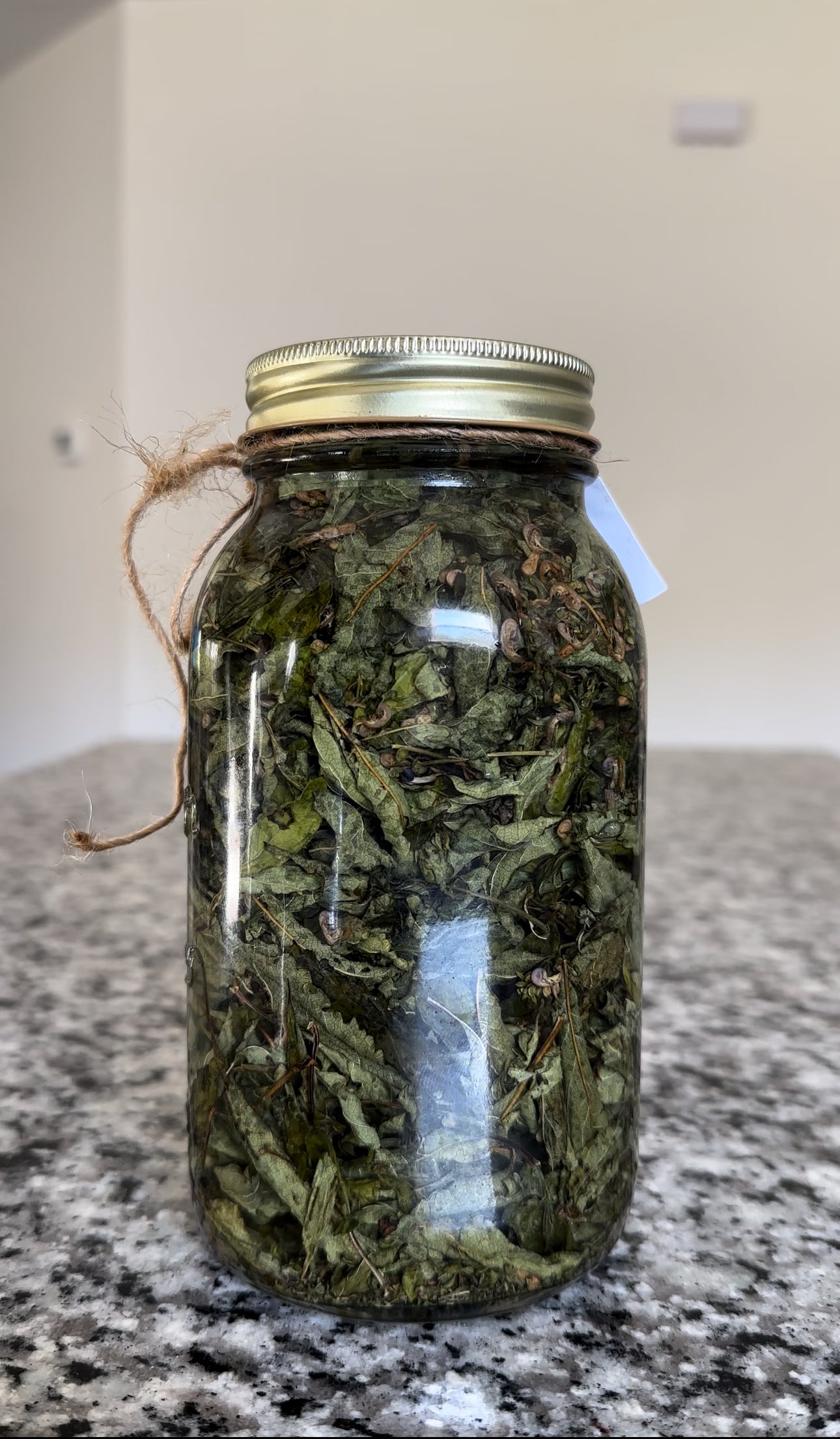 Skullcap Tincture - Anti-Anxiety