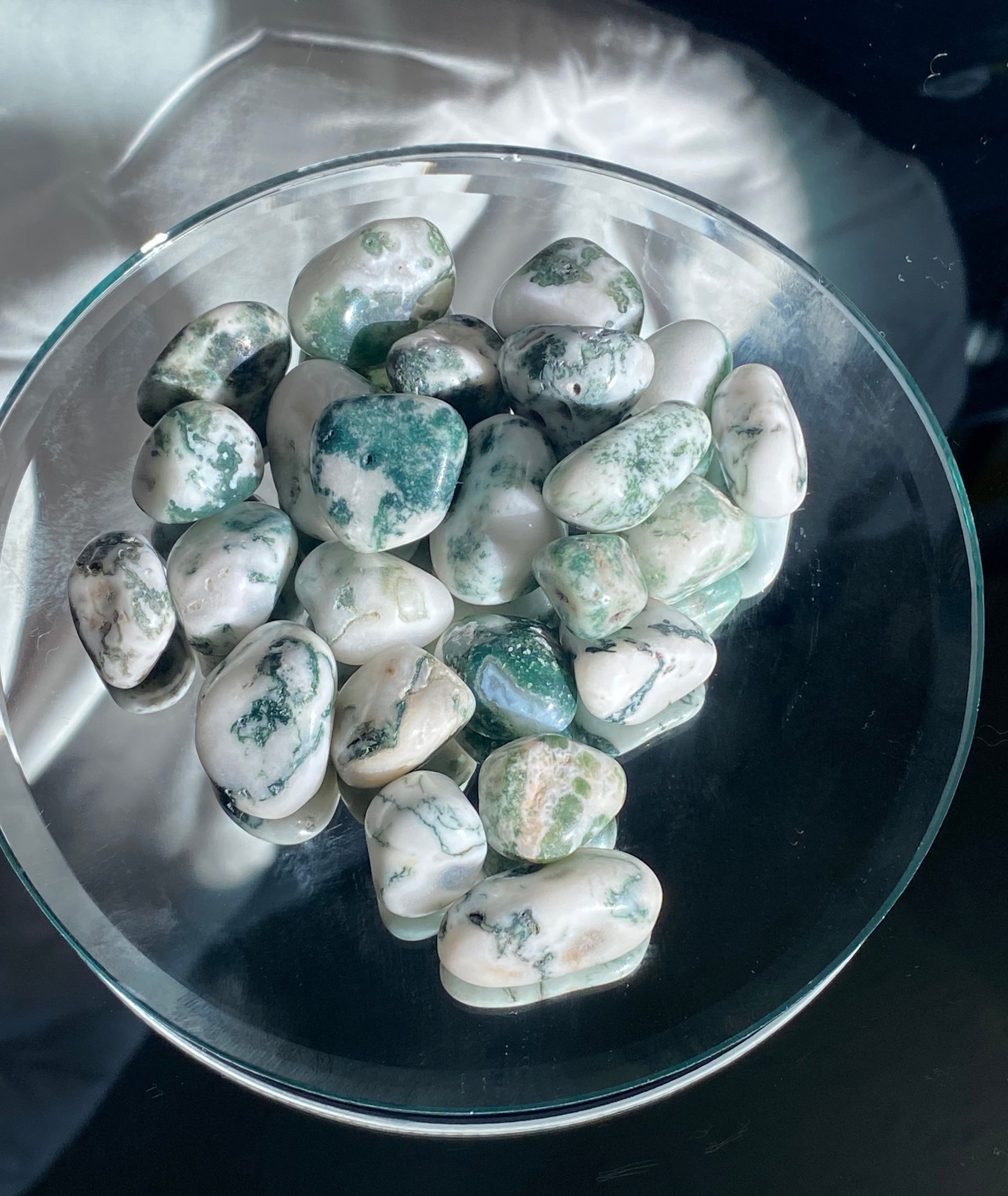 Tumbled Tree Agate, green and white stone