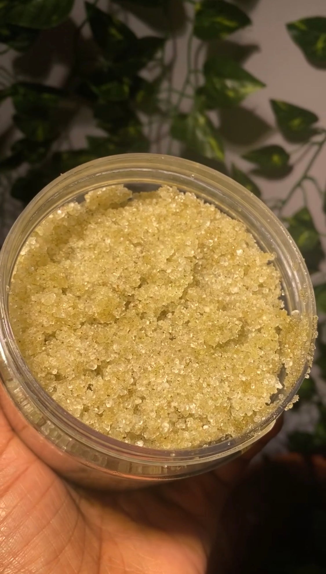 Natural body scrub with dead sea salt, sage, pine, and pink peppercorn