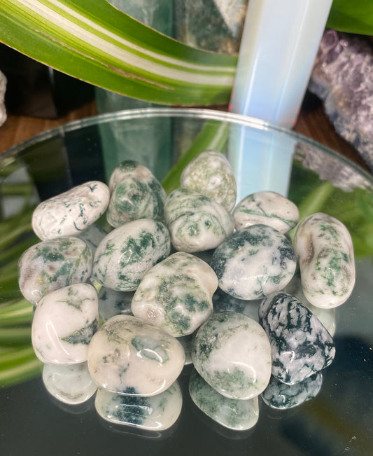 Tumbled Tree Agate, green and white stone
