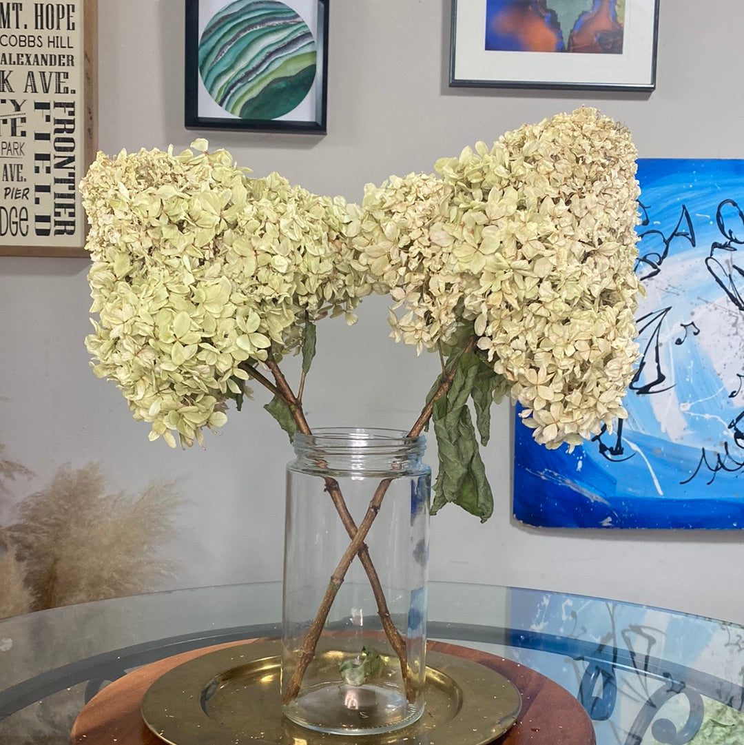 Hydrangeas