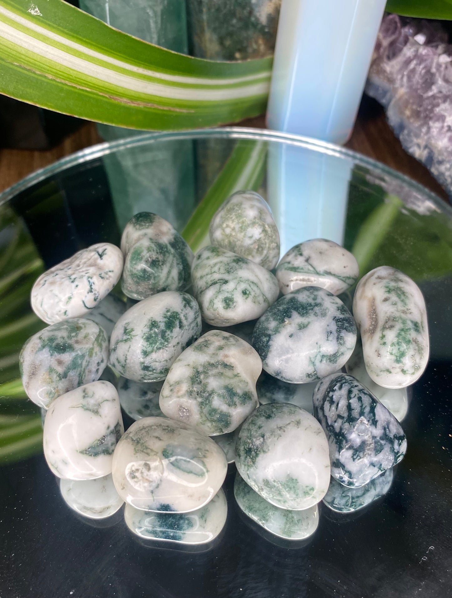 Tumbled Tree Agate, green and white stone