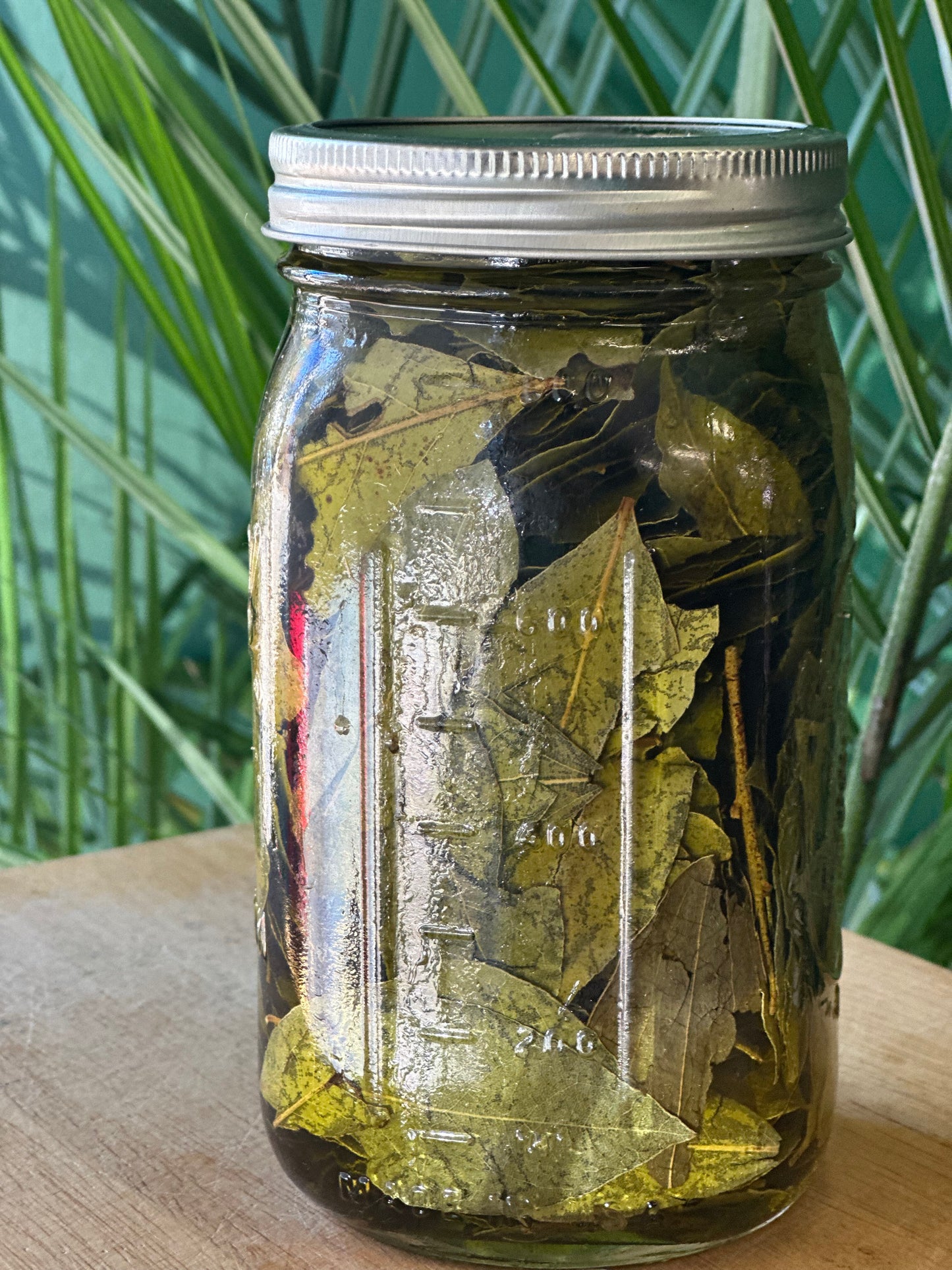 Bay Leaf Oil