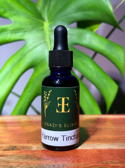 Yarrow Tincture - Menstrual Regulation