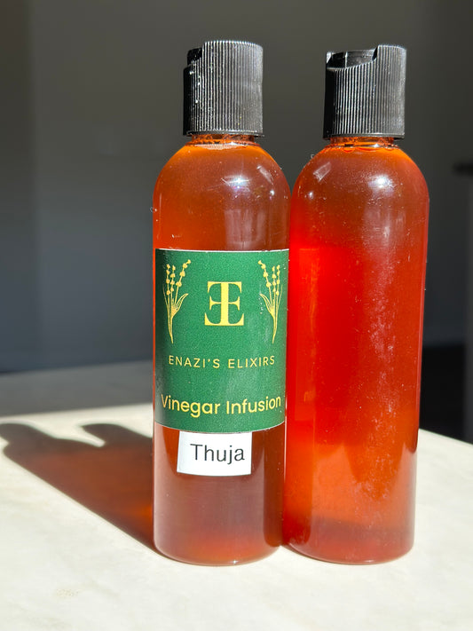 Thuja - Vinegar Infusion - Household Cleaner