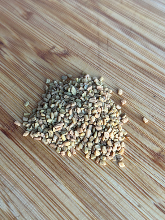 Fenugreek