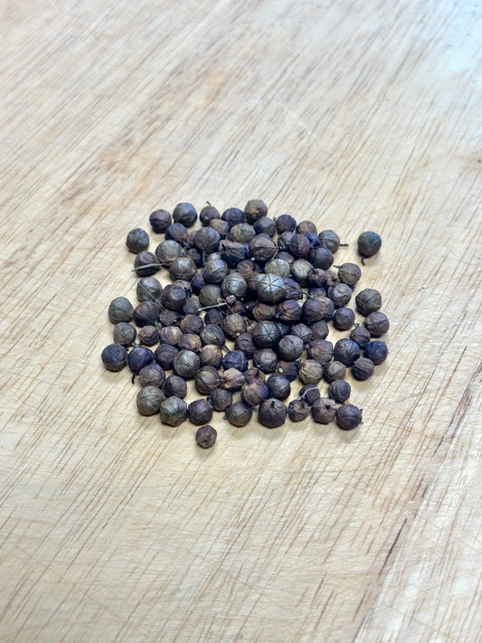 Crepe Myrtle Buds