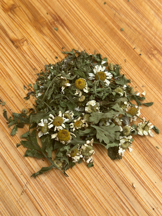 Feverfew