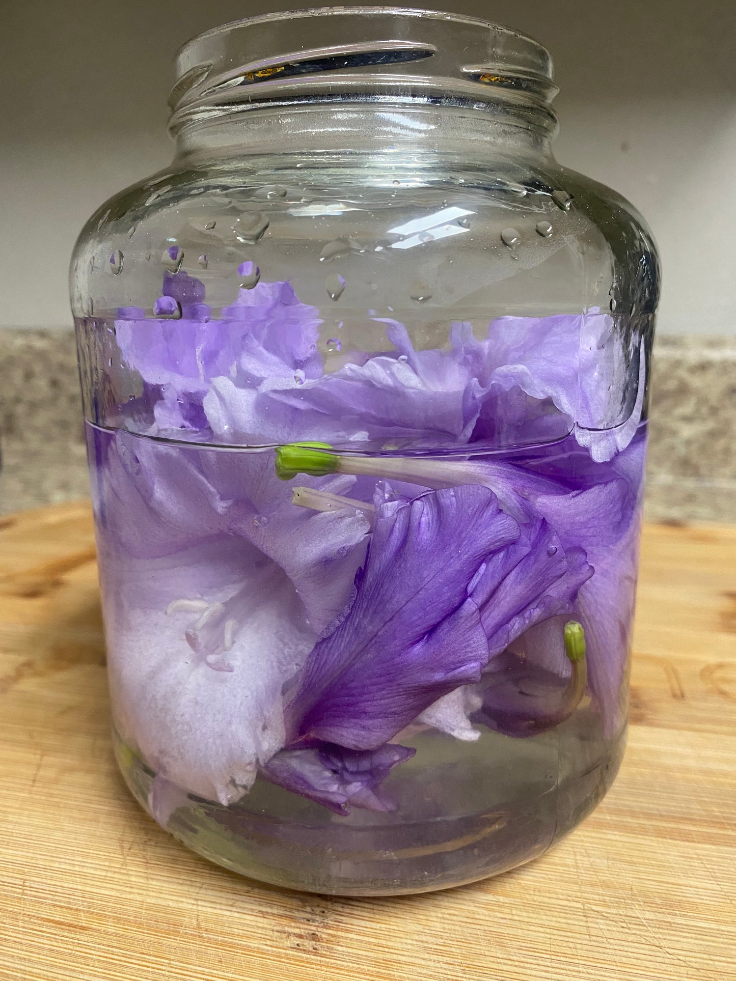 Gladiolus, Purple - Flower Essence