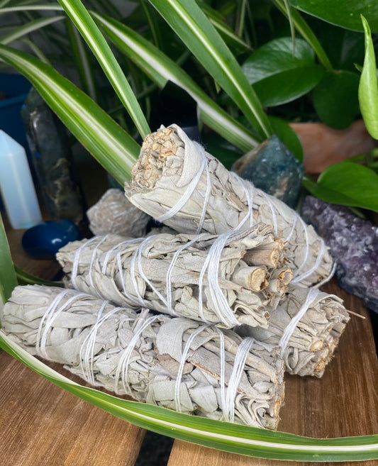 White Sage smudge stick 