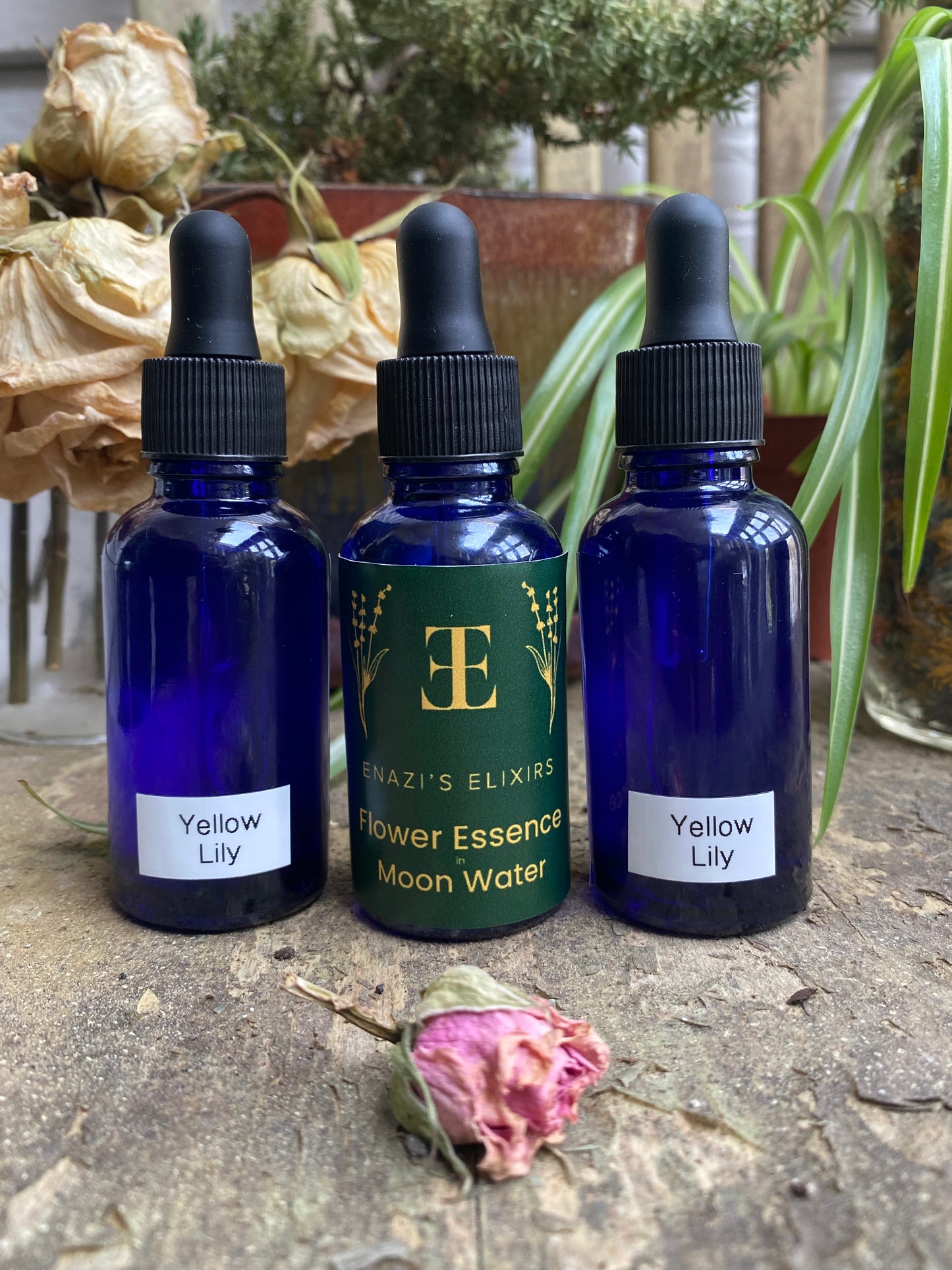 Yellow Lily - Flower Essence